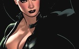 Adamhughes-catwoman