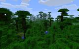 Minecraft-jungle-shot