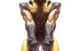 Wolverine_03_1_