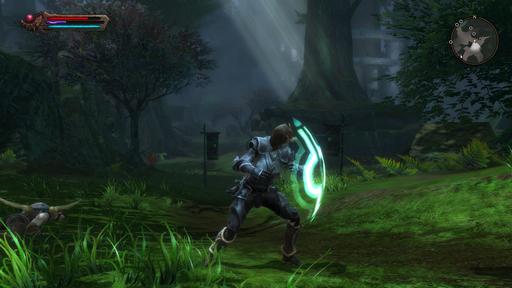 Kingdoms of Amalur: Reckoning - Превью "Kingdoms of Amalur:Reckoning" или возвращение Безымянного. Kingdoms of Amalur: Reckoning - Превью "Kingdoms of Amalur:Reckoning" или возвращение Безымянного.
