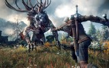 1371178405-the-witcher-3-wild-hunt-990x556