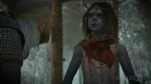 The Witcher 3: Wild Hunt - Живой геймплей The Witcher 3: Wild Hunt на E3 2014: Новиград и болота Ничейных земель The Witcher 3: Wild Hunt - Живой геймплей The Witcher 3: Wild Hunt на E3 2014: Новиград и болота Ничейных земель