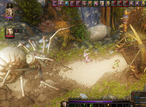 Divinity: Original Sin - Divinity:Original Sin: Знаете ли вы, что?