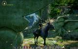 Dragonageinquisition_2014-12-11_19-32-25-96