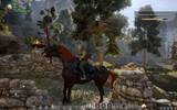 Dragonageinquisition_2014-12-25_17-19-04-40