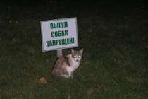 Смайлики на Гру. Работя для профессионалов. Смайлики на Гру. Работя для профессионалов.